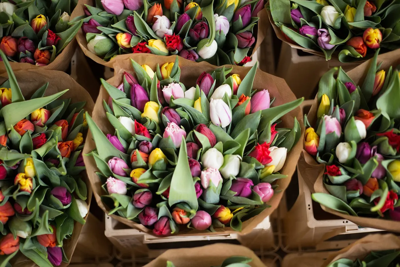 Mazzi di tulipani colorati avvolti nella carta al mercato